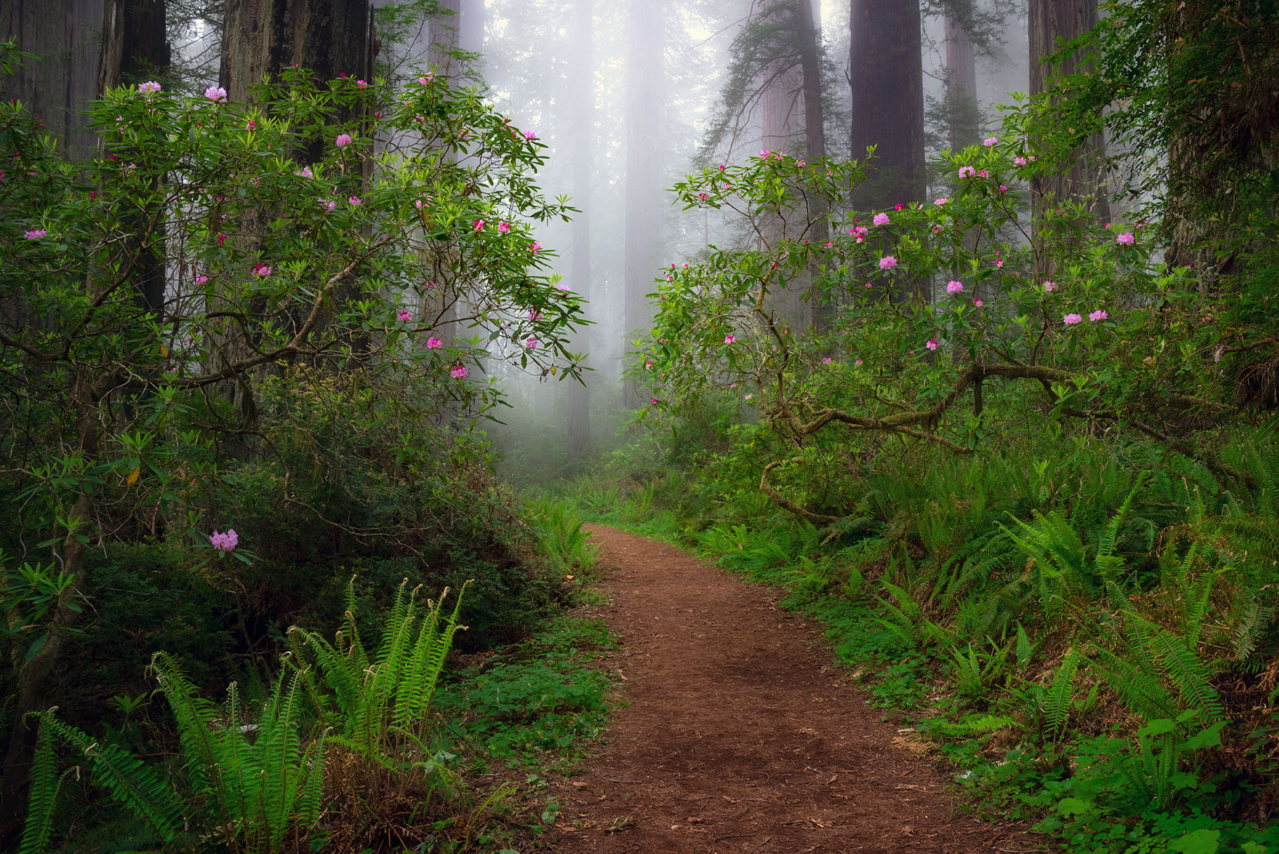 thumbnail image for the event