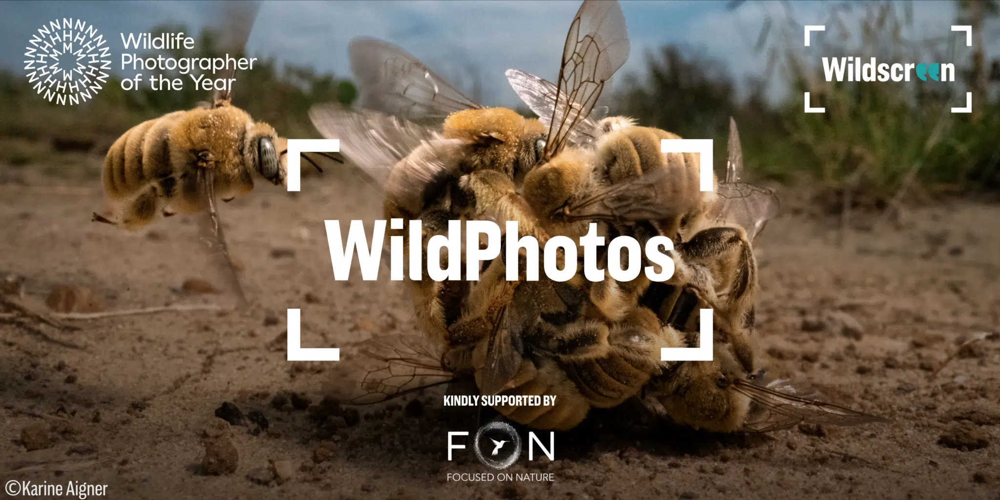 thumbnail image for the event