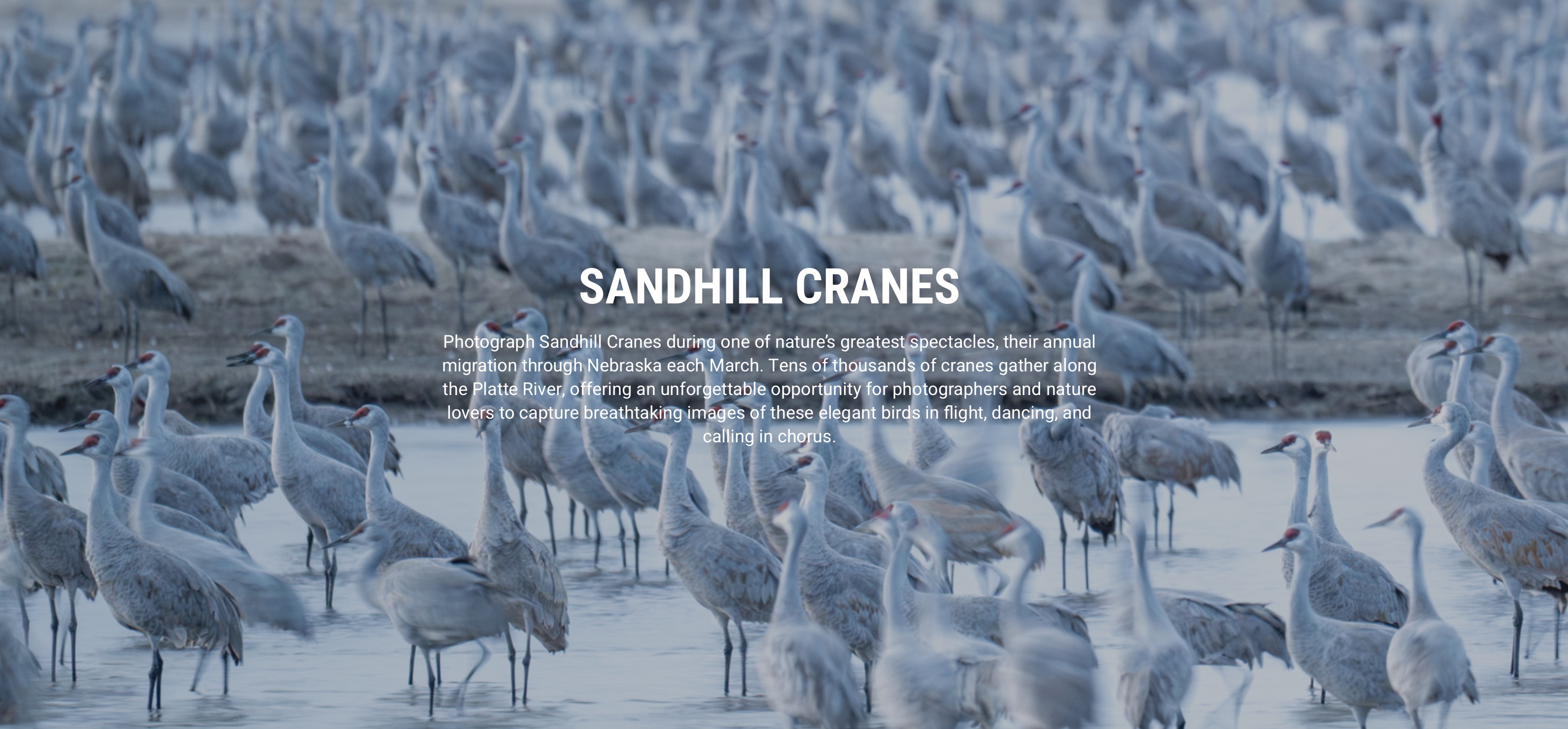 thumbnail image for the event