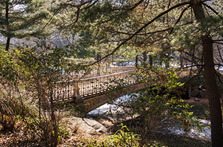 thumbnail image for the event