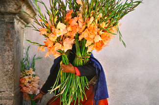 thumbnail image for the event